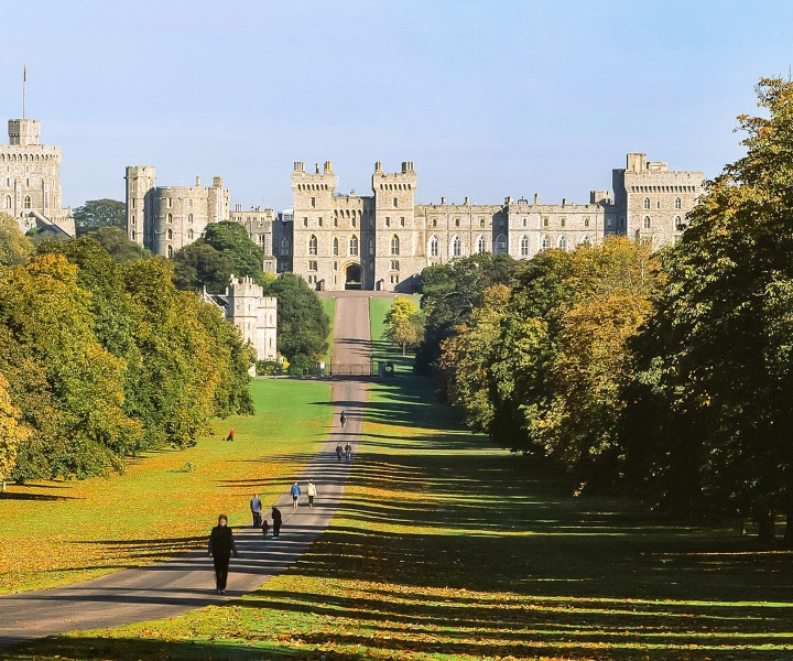 Windsor Castle: Entrébillet