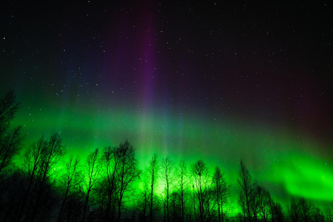 Rovaniemi: Aurora Hunting with 100% Refund. Small Group. Rovaniemi: Aurora Treasure Expedition & Refund (Standard)
