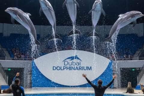 Dubai: Dolphinarium with VIP Ticket and GMC Yukon Transfer