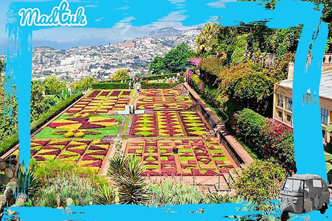 Madeira: Botanical Gardens + Old Town Tuk-Tuk Tour by MadTuk