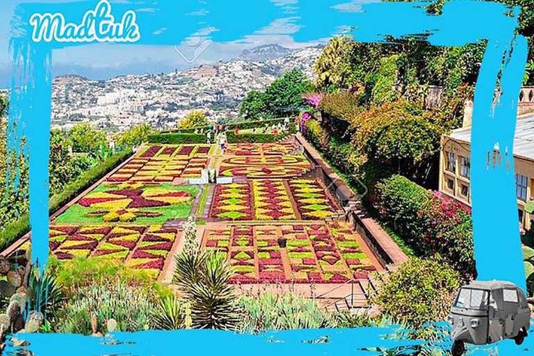 Madeira: Botanical Gardens + Old Town Tuk-Tuk Tour by MadTuk