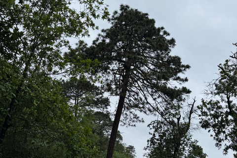 منتزه تشيبينكي الطبيعي - رحلة صباحية / بعد الظهر