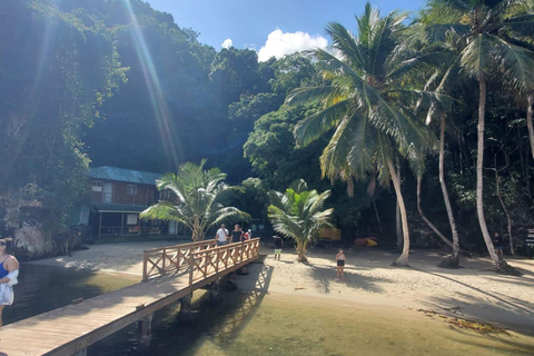 Puerto Plata: Samana, Bacardi Island, and Los Haitises Tour