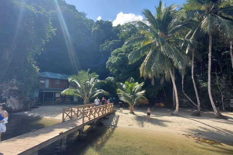 Puerto Plata: Samana, Bacardi Island, and Los Haitises Tour