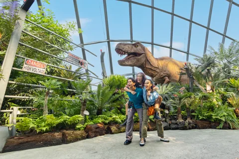 Gardens by the Bay Bundle Ticket de entrada