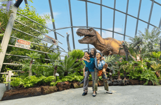 Singapur: Gardens by the Bay Bundle Entry Ticket