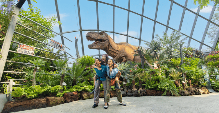 Singapore: Gardens by the Bay Bundle Entry Ticket photo 2