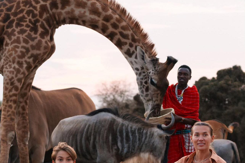 Moshi/Arusha : Day trip serval wildlife & Masai village tour Moshi / Arusha: Visit to Maasai Village