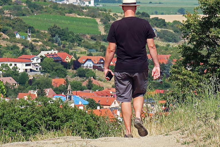 Bratislava: Vineyard Walk and Wine Picnic with Winemaker