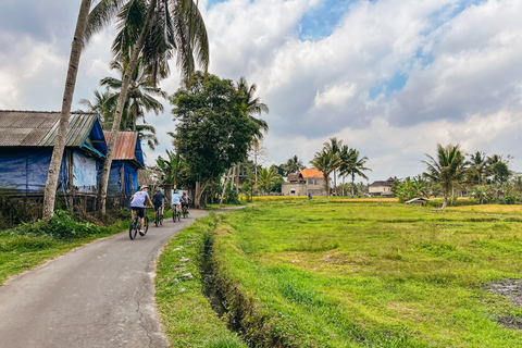 De Ubud: passeio de bicicleta em declive com terraços de arroz e refeição