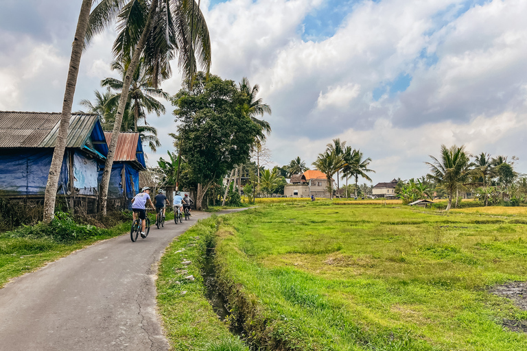 Bici con terrazze di riso e pranzo: tour da Ubud