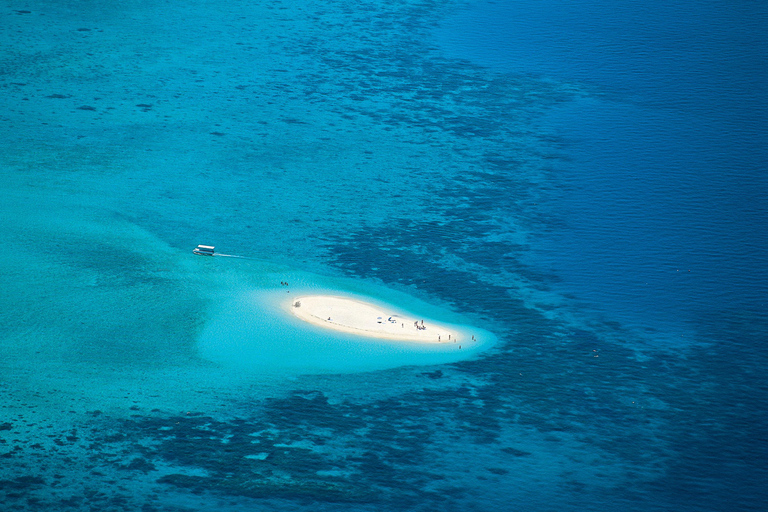 Reef & Island | Outer Reef & Dunk Island | Cairns Day Return Beaver Reef & Dunk Island Xpedition | Cairns Day Return