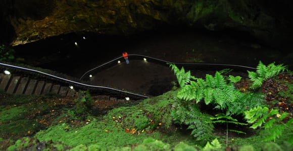 Private Caves tour with a Geologist