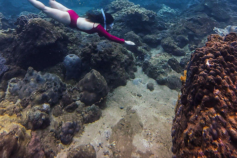 Budva: Snorkeling Boat Trip to Hidden Reefs & Tunnels⁠