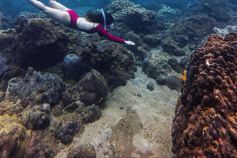 Budva: Snorkeling Boat Trip to Hidden Reefs & Tunnels⁠