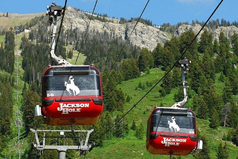 5-Day Tour: LA, Vegas, Antelope Canyon & National Parks All Tickets Inclusive