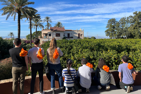 Huerto Ribera Tour with Vermouth Workshop and Tasting