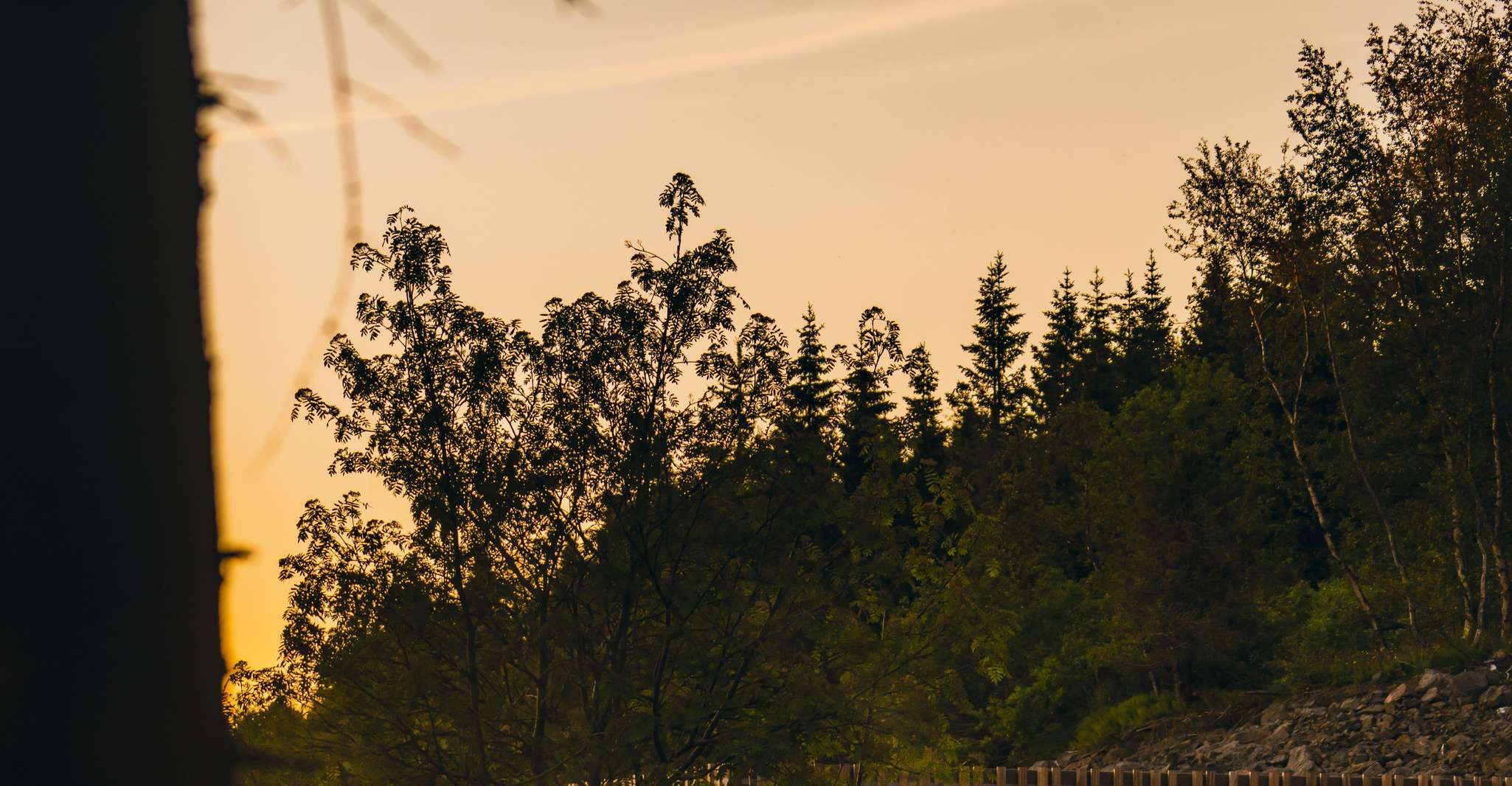Akureyri: Admission to Forest Lagoon with Towel and Drink photo 8