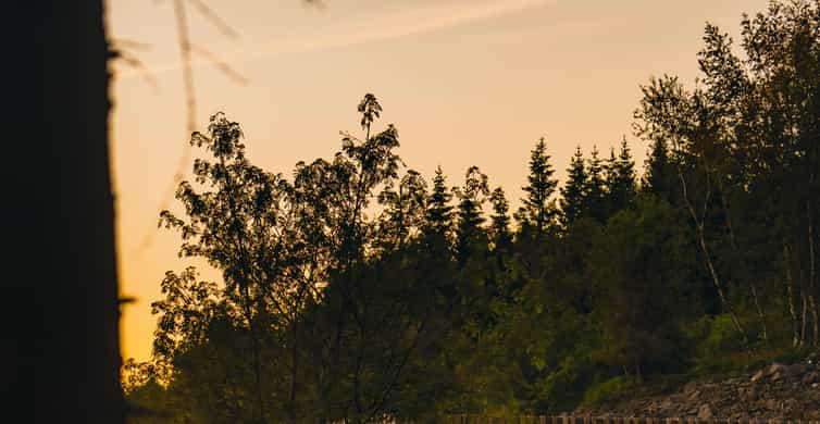 Akureyri: Admission to Forest Lagoon with Towel and Drink photo 8