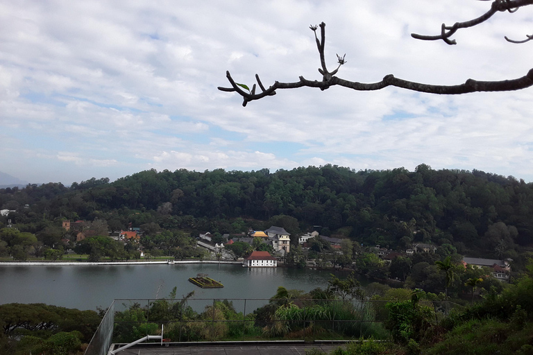 De Kandy a Kitulgala: Emocionante excursión de un día en balsa con Indika