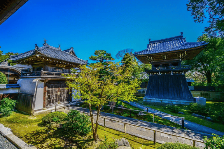 Depuis Osaka : Excursion d'une journée sur la côte de Kyoto, à Amanohashidate et dans la baie d'IneDepuis la sortie 2 de Nipponbashi à 8h30