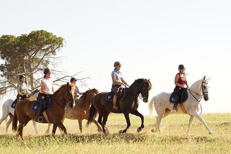 Valladolid: Horseback Riding Tour through Countryside
