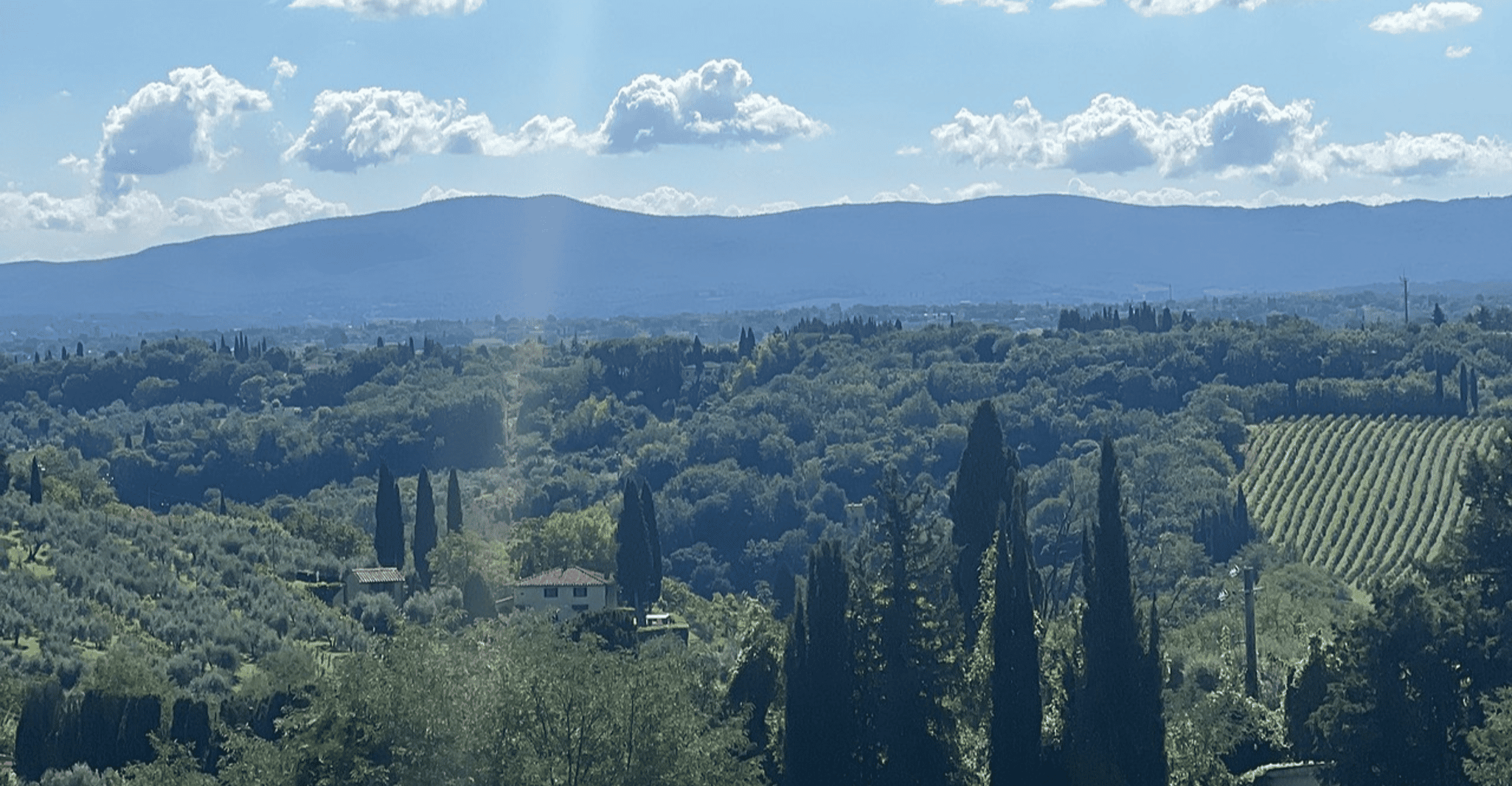 From Florence: Chianti Wine Tastings at Sunset Day Trip photo 11