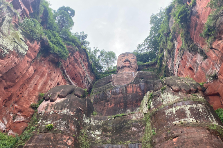 熊猫基地/乐山大佛/多景点之旅乐山大佛风景区和熊猫基地一日旅行