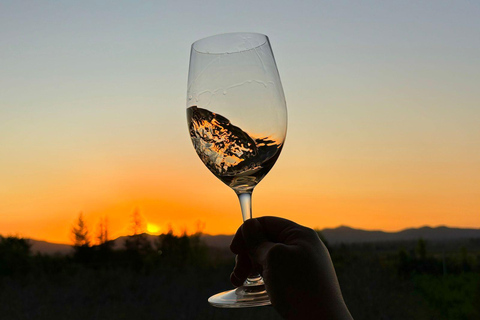 Alyan Family sunset winery Alyan Family