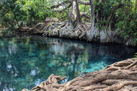 Maasai-Dorf und heiße Quelle Kikuletwa von Arusha aus