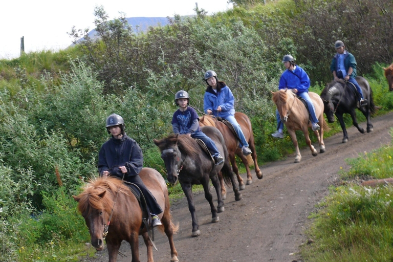 Agadir: Forest and Sand Dunes Guided Horse Riding Tour From Taghazout/Tamraght/Anza