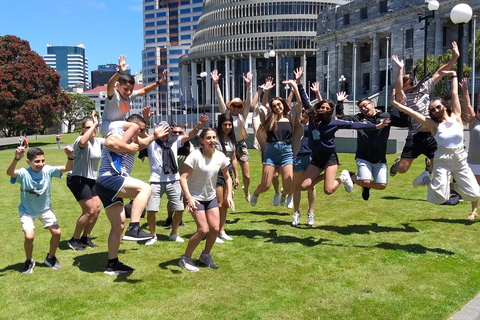 Wellington: Guidad stadsvandring med höjdpunkter och linbana