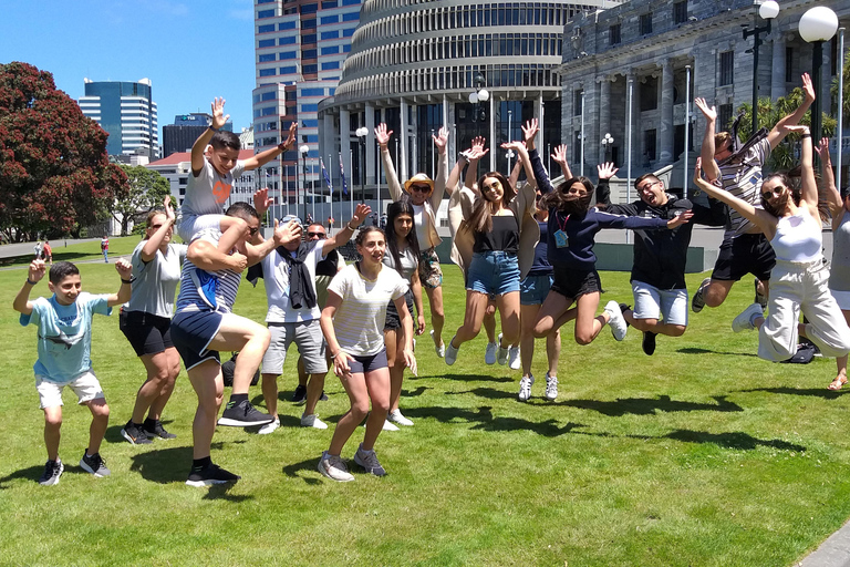 Wellington : Demi-journée de découverte de la ville avec montée en téléphérique