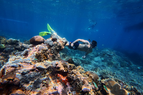 Nusa Penida: Snorkeling Adventure 3-Spots with Manta Rays Nusa Penida: Snorkeling Manta Point 3-Spots with Manta Rays
