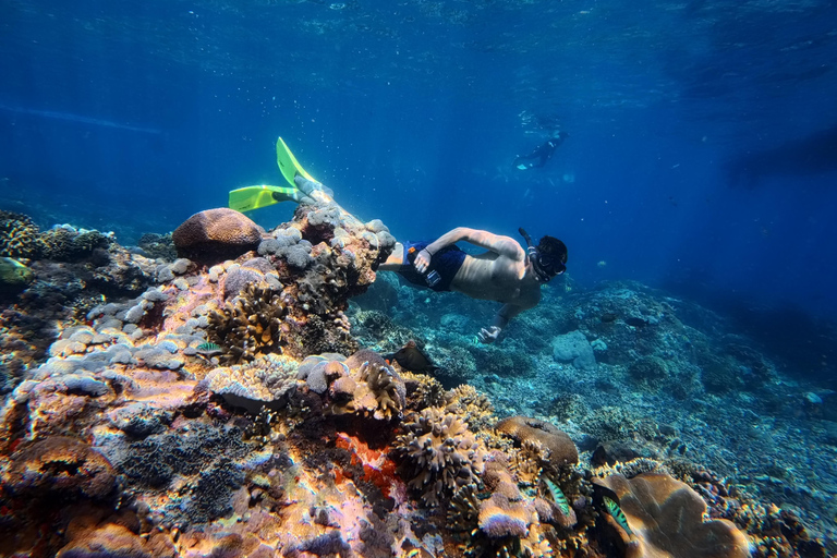 Nusa Penida: Snorkeling Adventure 3-Spots with Manta Rays Nusa Penida: Snorkeling Manta Point 3-Spots with Manta Rays