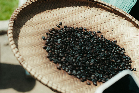 Arusha: Waterfall, Mountain Swing, Canoeing & Village Tour