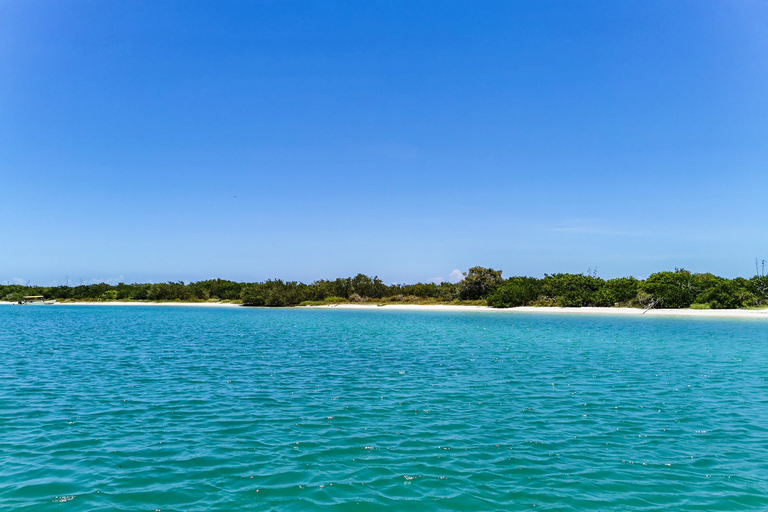 Von Cancún: Rio Lagartos & Las Coloradas Tagesausflug & Mittagessen