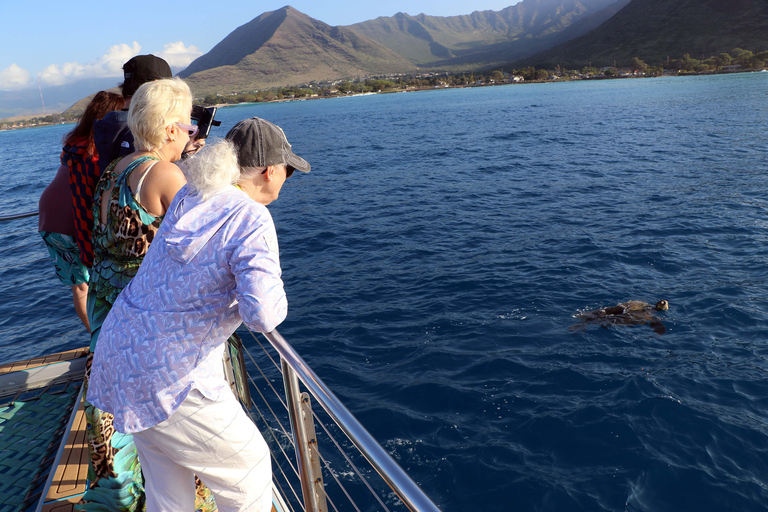 Oahu: Snorkeling & Dolphin Watch Cruise with Hawaiian Buffet Private: All-Inclusive Sunset Snorkel Cruise with Hot Buffet