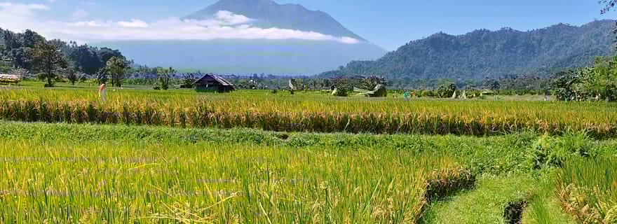 Sidemen : rizières en terrasses, cascade et visite du village