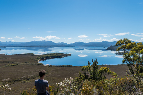 Hobart: vlieg en cruise in het zuidwesten van de wildernis met lunchTour met standaardtoegang