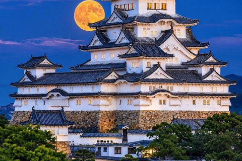 Kyoto & Osaka: Private Customizable Day Trip with Guide
