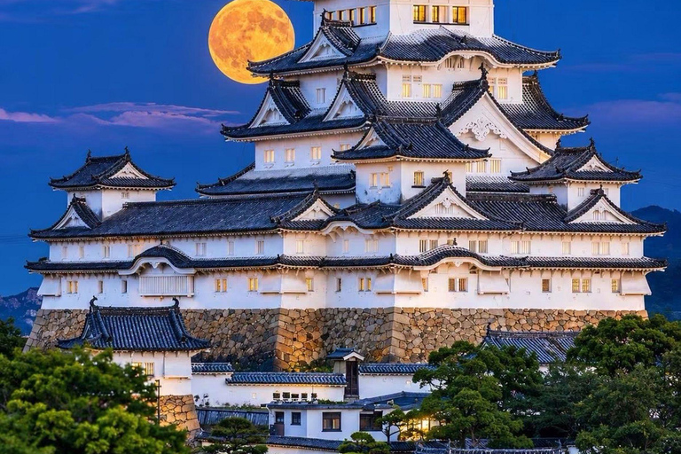 Kyoto & Osaka: Private Customizable Day Trip with Guide