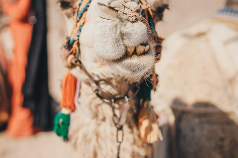 Petra Photography Tour: Capture the Magic with an Expert Shared Group Petra Photography Tour