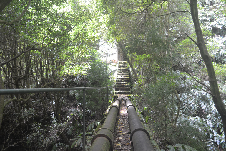 Sao Miguel Hike to Janela do Inferno and Lagoa do Fogo