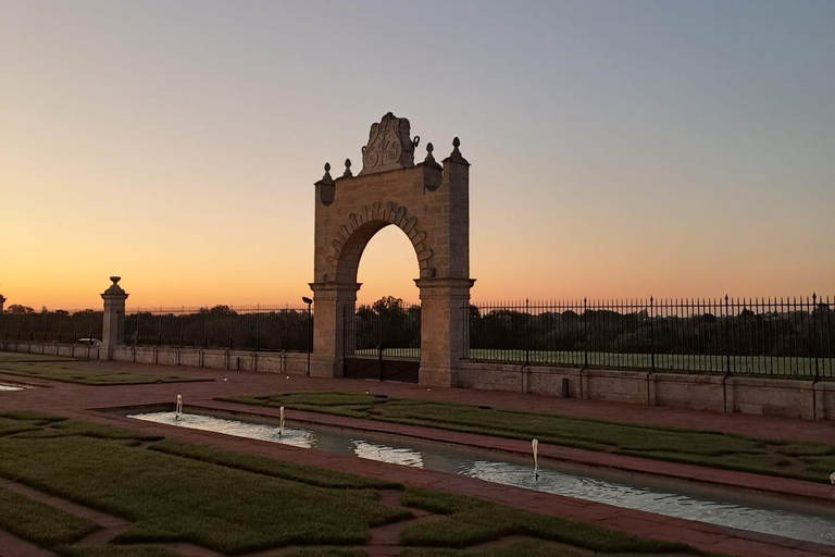 Bordeaux Wine Tours