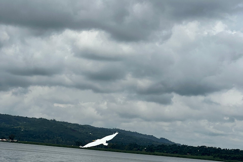 From Entebbe: Shoebill swamp and Equator Tour with Boat Ride