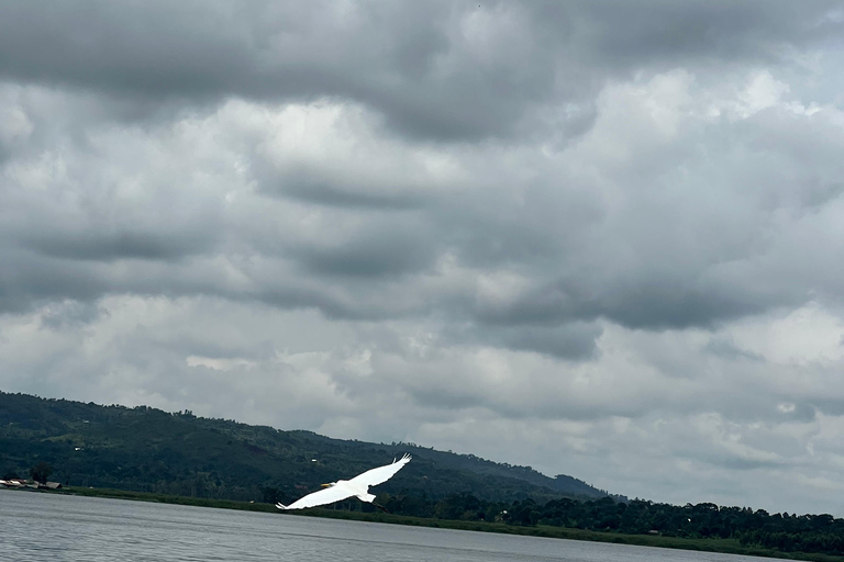 From Entebbe: Shoebill swamp and Equator Tour with Boat Ride