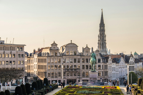 From Amsterdam: Guided tour to Antwerp and Brussels