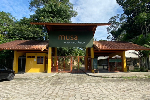 Private tour of the Amazon Museum in Manaus Private Tour at Musa (Amazon Museum) in Manaus