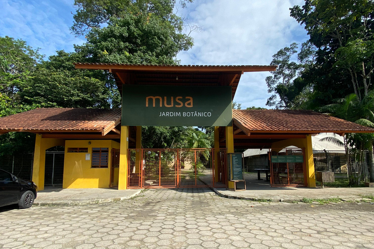 Private tour of the Amazon Museum in Manaus Private Tour at Musa (Amazon Museum) in Manaus